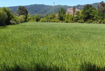 Parcela en  Linares, Linares