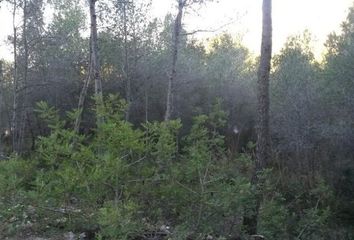 Terreno en  Sant Pere De Ribes, Barcelona Provincia