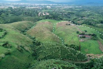 Lote de Terreno en  Montelíbano, El Oso, Pereira