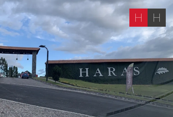 Lote de Terreno en  Avenida Las Haras, Residencial Haras Del Bosque, Amozoc, Puebla, 72364, Mex