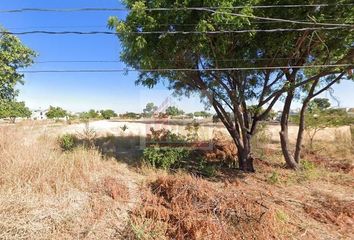 Lote de Terreno en  Avenida Reforma 58, Centro, San Miguel De Horcasitas, San Miguel De Horcasitas, Sonora, 83360, Mex