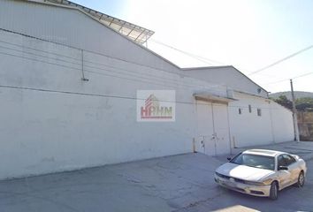 Local comercial en  Calle José María Morelos Y Pavón, Tetelpa, Zacatepec, Morelos, 62780, Mex