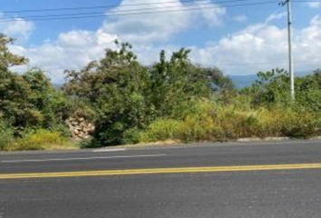 Lote de Terreno en  Carretera Cuernavaca - Tepoztlán, Del Tesoro, Tepoztlán, Morelos, 62520, Mex