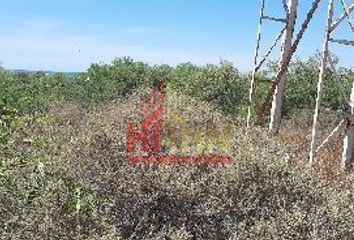 Lote de Terreno en  Carretera Manlio Fabio Beltrones Rivera, Residencial Loma Del Mar, La Soledad, Guaymas, Sonora, 85506, Mex