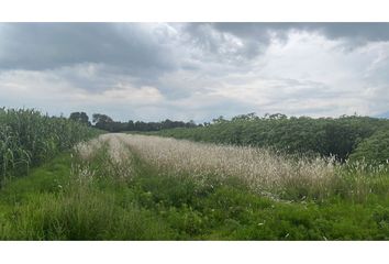 Lote de Terreno en  Rancho Azcarate, Municipio De Puebla