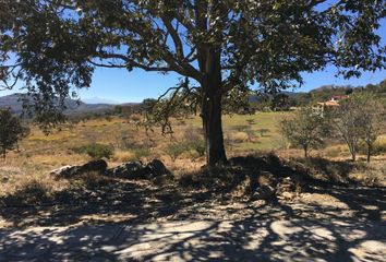 Lote de Terreno en  Colonia Mazamitla, Mazamitla