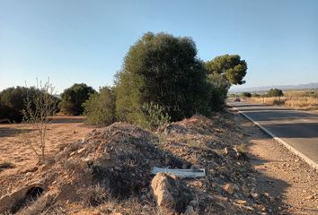 Terreno en  La Pobla De Vallbona, Valencia/valència Provincia