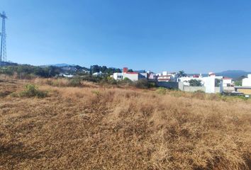 Lote de Terreno en  Lomas De Zompantle, Cuernavaca, Morelos