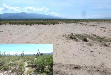 Lote de Terreno en  Carretera Matehuala-ent. Puerto México, San Joaquín, Galeana, Nuevo León, 67864, Mex