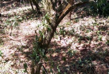 Lote de Terreno en  Godínez Tehuastepec, Valle De Bravo, México, Mex