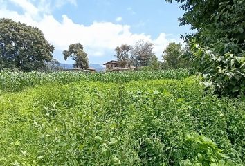 Lote de Terreno en  Carretera Toluca-valle De Bravo, San Gaspar, Valle De Bravo, México, 51208, Mex