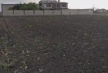 Lote de Terreno en  San Mateo Otzacatipan, Toluca