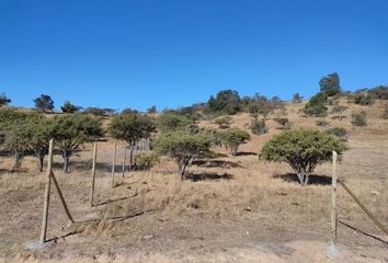 Parcela en  Peralillo, Colchagua