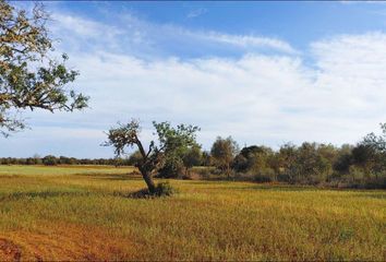 Terreno en  Campos, Balears (illes)