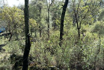 Lote de Terreno en  Ocoyoacac, México, Mex