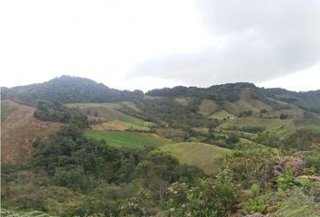 Lote de Terreno en  Sonsón, Antioquia