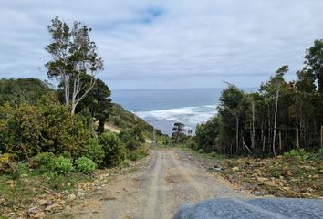 Parcela en  Puerto Montt, Llanquihue