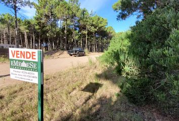 Terrenos en  Otro, Pinamar