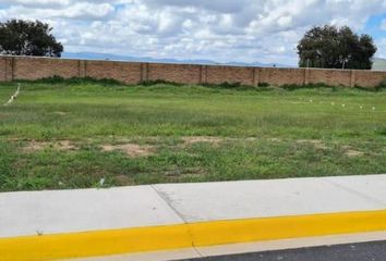 Lote de Terreno en  Calle Las Camelinas, Purísima De Cubos, Colón, Querétaro, 76296, Mex