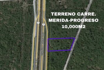 Lote de Terreno en  Calle 84, Progreso, Yucatán, 97320, Mex