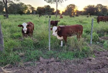 Terrenos en  Los Chiriguanos, Formosa