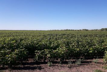 Terrenos en  Tostado, Santa Fe