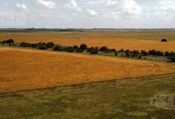 Terrenos en  Punta Del Indio, Punta Indio