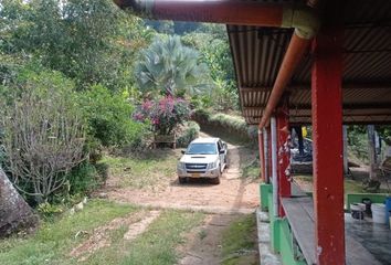 Villa-Quinta en  Buenavista, Quindío