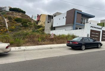 Lote de Terreno en  Calle Villas De San Antonio, Valle Sur 2, Tijuana, Baja California, 22637, Mex