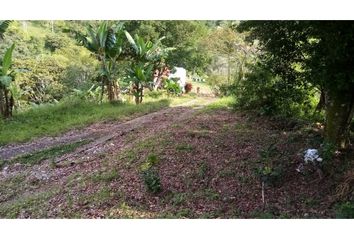 Villa-Quinta en  Buenavista, Quindío