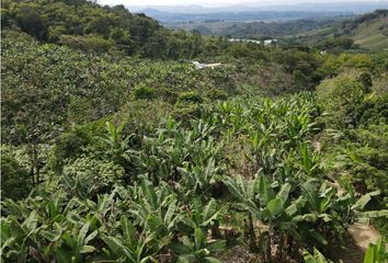 Lote de Terreno en  Buenavista, Quindío