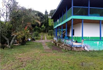 Villa-Quinta en  Buenavista, Quindío