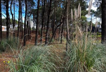 Terrenos en  Otro, Pinamar