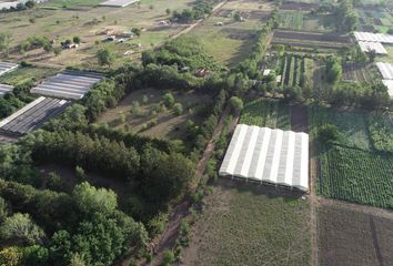 Terrenos en  Abasto, Partido De La Plata