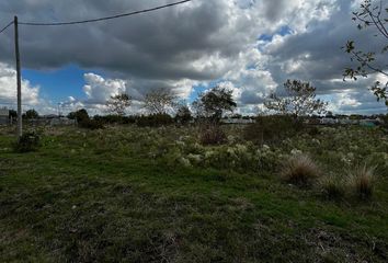 Terrenos en  Manuel B Gonnet, Partido De La Plata