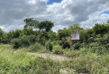 Lote de Terreno en  Carretera Dzityá-mérida, Dzitya, Mérida, Yucatán, 97302, Mex