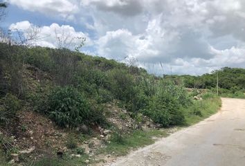 Lote de Terreno en  Cedar, Campeche, Mex