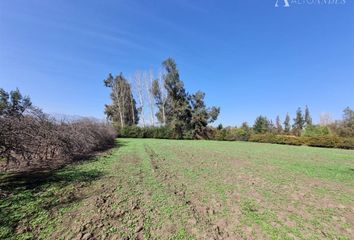 Parcela en  Colina, Chacabuco