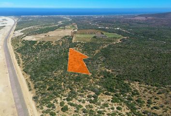 Lote de Terreno en  23570, La Ribera, Baja California Sur, Mex