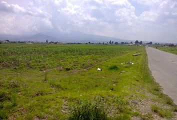 Lote de Terreno en  Calle Licenciado Benito Juárez, La Concepción Coatipac, Calimaya, México, 52224, Mex