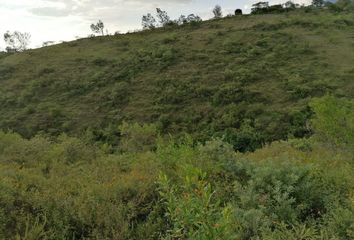 Lote de Terreno en  Privada De Hidalgo, San Pablo Etla, Oaxaca, 68258, Mex