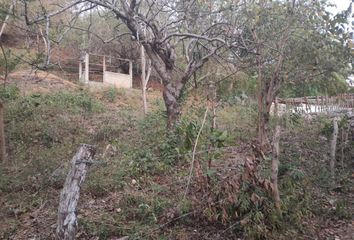 Lote de Terreno en  Carretera Puerto Ángel - San Antonio, Mazunte, Santa María Tonameca, Oaxaca, Mex