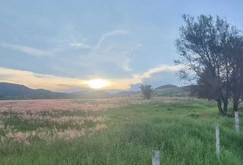 Lote de Terreno en  45200, Tesistán, Jalisco, Mex