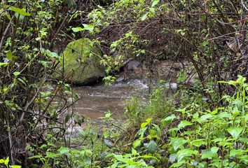 Lote de Terreno en  Villa Guerrero, Estado De México