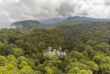 Lote de Terreno en  51230, Colorines, México, Mex