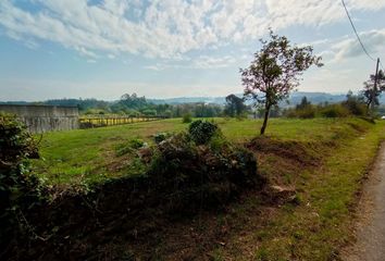 Terreno en  Ribadumia (santa Baia), Pontevedra Provincia