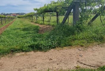 Terreno en  Sanxenxo, Pontevedra Provincia