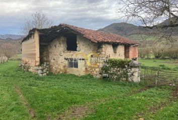 Terreno en  Cangas De Onis, Asturias