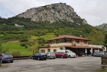 Local Comercial en  Carreña De Cabrales, Asturias