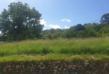 Terreno en  El Peral (ribadedeva), Asturias